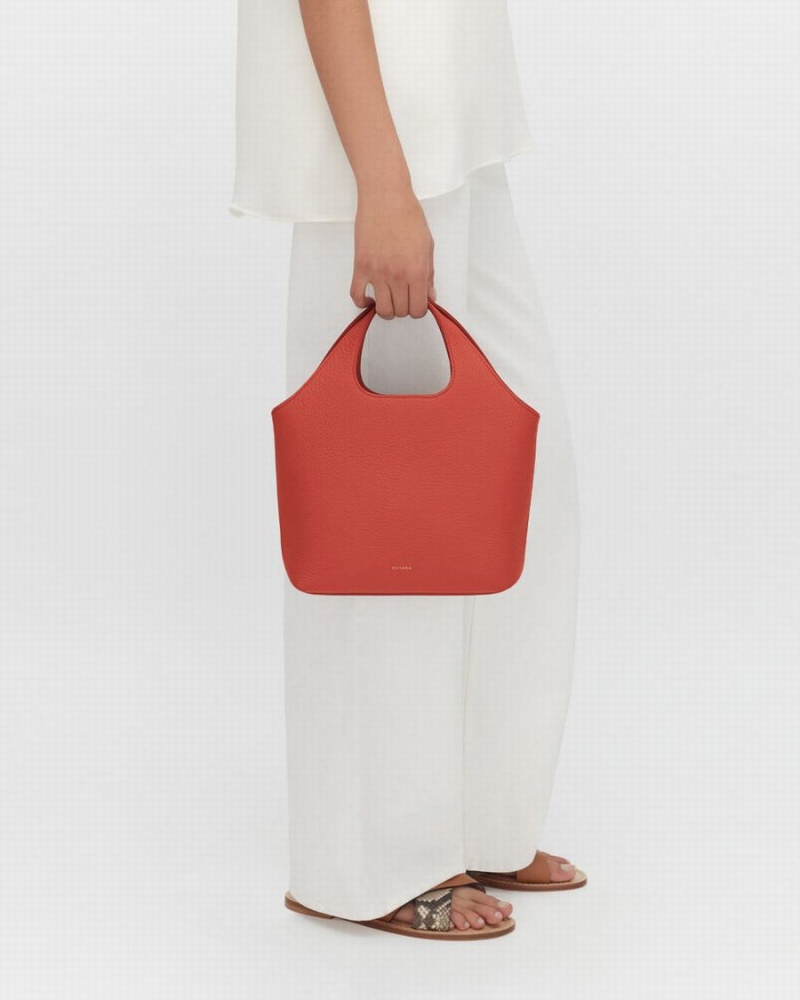 Cuyana Mini System Tote Tasker Dame Mørkekoral | DUP7374NJ