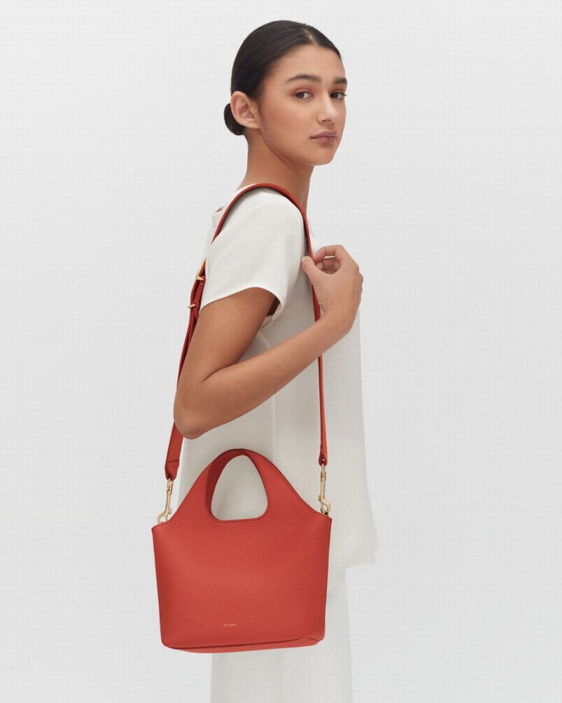 Cuyana Mini System Tote Tasker Dame Mørkekoral | DUP7374NJ